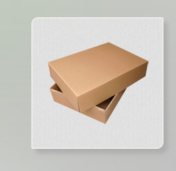 Sample Brown Box